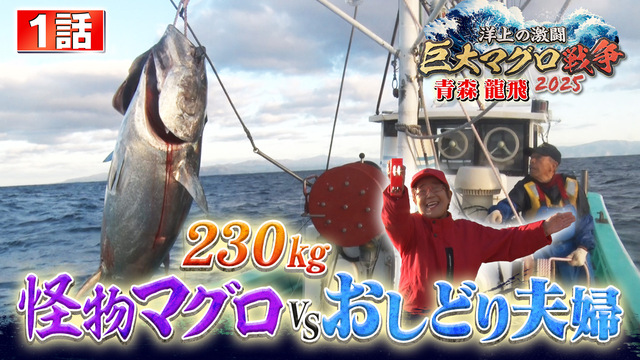 プロフェッショナル 仕事の流儀 第期 マグロ漁師 山崎 倉の仕事 漁の神様 誉れの一本釣り [DVD] プロフェッショナル 仕事の流儀 第8期 マグロ漁師 山崎 倉の仕事
