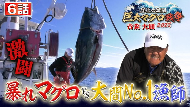 (未使用･未開封品)プロフェッショナル 仕事の流儀 第期 マグロ漁師 山崎 倉の仕事 漁の神様 誉れの一本釣り [DVD] 61Agv6qhDaL._AC_SY200_QL15_.jpg